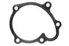 Прокладка помпи води Chevrolet Cruze/Opel Astra/Combo 1.7D 00- 238.460