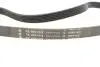 529010310 Комплект ременя генератора Audi A2/Seat Ibiza/Skoda Fabia/VW Golf/Polo 1.4/1.6/1.6FSI 97- (6PK 1078) INA підбір по vin на Brocar