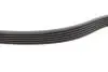 529010310 Комплект ременя генератора Audi A2/Seat Ibiza/Skoda Fabia/VW Golf/Polo 1.4/1.6/1.6FSI 97- (6PK 1078) INA підбір по vin на Brocar