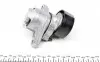529008210 Комплект ремня генератора Renault Megane/Scenic 00-09, (5PK1750) INA підбір по vin на Brocar
