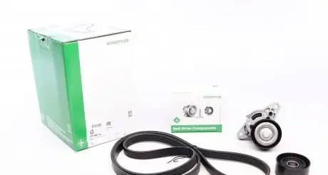529008210 Комплект ременя генератора Renault Megane/Scenic 00-09, (5PK1750) INA підбір по vin на Brocar