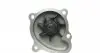538030510 Помпа води Opel Astra F 1.7TDS/TD 91-98/Combo 1.7D 94-01/Corsa A/B 1.5D/TD/1.7D 87-00/Kadett E 1.5TD INA підбір по vin на Brocar