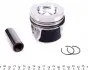 130050002500 Поршень VW Caddy III 1.6TDI 10- (79.50mm/STD) = 7150250000 NPR підбір по vin на Brocar