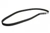 Ремінь ГРМ Fiat Fiorino/Punto/Uno 1.7 D/TD 89-01 (22x168z) CT611