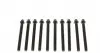 143200501 Болты головки (к-кт 10шт.) BMW 5 (E34/E39)/7 (E32/E38)/X5 (E53) 92-05, M60/M62 VICTOR REINZ підбір по vin на Brocar