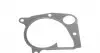 538017110 Помпа воды BMW 3 (E46/E90-E92) 318d/320d/325d/5 (E60/E61), M47/M57/N47 INA підбір по vin на Brocar