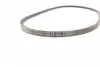 AVX13X1200 Ремінь генератора Toyota Hilux/Land Cruiser 2.4D 88-02/Ford Sierra 2.8 87-88 CONTITECH підбір по vin на Brocar