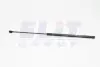 Амортизатор багажника GS0294