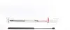 Амортизатор капота MB C-class (W203/S203) 00-07/CLK (C209) 02-09 (L) (седан/унив.)(выталк.сила 280N) 8056807