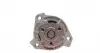 538035210 Помпа води VW Golf IV/Jetta IV/Passat IV/V/Seat Toledo 2.3 V5 97-05 INA підбір по vin на Brocar