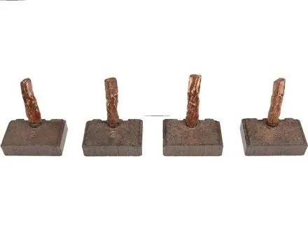 BSX194195 Щетка стартера AUTO STARTER подбор по vin на Brocar