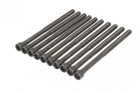 577230 Комплект болтів гбц (10 шт) BMW 3 (F30/F80)/5 (G30/F90)/X3 (G01/F97) 15- B46/B48 ELRING підбір по vin на Brocar