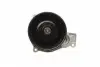 538080610 Помпа води BMW X1 (F48) 14- B47 C20 INA підбір по vin на Brocar