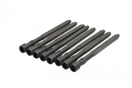 057450 Болты головки (к-кт 8шт.) VW Passat 2.0i 01-05 (M10x132mm) ELRING подбор по vin на Brocar