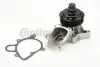 Помпа воды BMW 3 (E46)/7 (E65/E66/E67)/X5 (E53) 3.0d 01-06 WPS3053