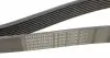 8PK1520 Ремінь генератора DAF CF65/LF45/LF55 4.0/4.5/5.9/6.7 01-/MB Axor 7.2 04-/Citaro 10.7 12- CONTITECH підбір по vin на Brocar