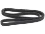 Ремень ручейковый Starline SR 6DPK1838