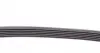 6PK2360 Ремень генератора MB W124/W164 CONTITECH підбір по vin на Brocar