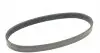 6PK701ELAST Ремень генератора Seat Ibiza/Skoda Fabia/Rapid/Citigo/VW Polo/Up 1.0/1.6 14- (-AC) CONTITECH підбір по vin на Brocar