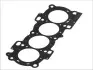 Прокладка ГБЦ Ford Fiesta/Focus 1.6 16V 98-08 (0.50mm) 013.920