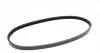 3PK600 Ремінь генератора Volvo 440/460/480 1.7/2.0 -96 CONTITECH підбір по vin на Brocar