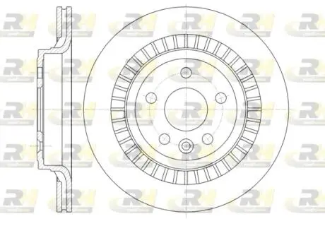 6132010 Гальмівний диск ROADHOUSE підбір по vin на Brocar