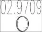 Монтажне кільце 02.9709
