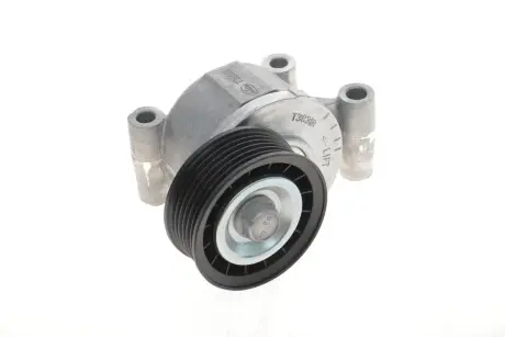 534024910 Натяжник ременя генератора Ford Focus 1.8/2.0i 04-12 INA підбір по vin на Brocar
