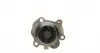 9377 Помпа воды Audi A3-A4/A6/VW Caddy/Golf IV/Passat/T5/Skoda Octavia/Fabia 1.8T/2.0 96- (23z) AIRTEX підбір по vin на Brocar