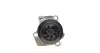 1992 Помпа воды Audi A1-A6/Seat/Skoda Octavia/VW Crafter/T5/T6/Caddy/Golf 1.2TDI/1.6TDI/2.0TDI 08- (19z) AIRTEX підбір по vin на Brocar