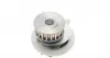 1167 Помпа воды Opel Astra F/Kadett E/Omega A/Vectra A/Ascona C 1.6/1.8/2.0 81-98 (21z) AIRTEX підбір по vin на Brocar