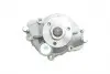 538065510 Помпа воды Land Rover Range Rover III/Sport I 4.2/4.4 4x4 04-13/Jaguar 99- (с корпусом) INA підбір по vin на Brocar