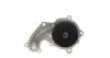 1619 Помпа воды Ford C-Max I/Focus I/II/Fiesta/Mondeo/Transit/Tourneo Connect 1.8DI/TDCi/TDDi 99- AIRTEX підбір по vin на Brocar
