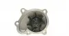1550 Помпа воды Opel Astra F/G 1.7TDS/DTI 91-05/Corsa B/Combo 1.7D 94-01/Vectra A/B 1.7TD 90-98 AIRTEX підбір по vin на Brocar