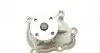 1550 Помпа воды Opel Astra F/G 1.7TDS/DTI 91-05/Corsa B/Combo 1.7D 94-01/Vectra A/B 1.7TD 90-98 AIRTEX підбір по vin на Brocar
