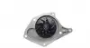 1746 Помпа воды Renault Kangoo/Megane/Scenic/Laguna/Logan/Clio/Nissan Qashqai/Note/Micra 1.5dCi 05-(d=74) AIRTEX підбір по vin на Brocar