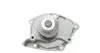 1693 Помпа воды Renault Megane/Laguna/Scenic/Nissan Primera 1.9dCi 02-/Suzuki Grand Vitara 1.9DDiS 05-15 AIRTEX підбір по vin на Brocar