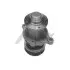 Помпа воды BMW 3/5/Z3 316i/316Ci/318i/318is/318ti/518i/518g/1.8i/1.9i 89-03 1369