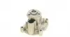 1817 Помпа воды Audi A3/Seat Ibiza/Skoda Fabia/Octavia/Rapid/VW Golf/Passat/Polo/Touran 1.4/1.6/FSI 03- AIRTEX підбір по vin на Brocar