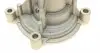 1817 Помпа воды Audi A3/Seat Ibiza/Skoda Fabia/Octavia/Rapid/VW Golf/Passat/Polo/Touran 1.4/1.6/FSI 03- AIRTEX підбір по vin на Brocar