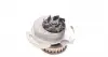1138 Помпа воды Audi 50/80/VW Golf/Jetta/Passat/Polo 0.9-1.3 74-94 AIRTEX підбір по vin на Brocar