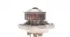 1138 Помпа воды Audi 50/80/VW Golf/Jetta/Passat/Polo 0.9-1.3 74-94 AIRTEX підбір по vin на Brocar
