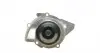 1955 Помпа воды Citroen C4/C5/C8/Jumpy/Fiat Scudo/Peugeot 308/407/508/Ford Focus/Mondeo 2.0HDi/TDCi 09- AIRTEX підбір по vin на Brocar