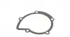 1955 Помпа воды Citroen C4/C5/C8/Jumpy/Fiat Scudo/Peugeot 308/407/508/Ford Focus/Mondeo 2.0HDi/TDCi 09- AIRTEX підбір по vin на Brocar
