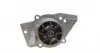 1359 Помпа воды Citroen Berlingo/Xsara/Peugeot Partner/205/306/309/405/406/806/Expert 1.6/1.8/1.9 87-02 AIRTEX підбір по vin на Brocar