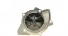 1690 Помпа воды Citroen C4-C8/Jumpy/Peugeot 2.0-2.2HDi/Fiat Scudo/Ford Focus/Mondeo/Volvo 2.0D/TDCI 01- AIRTEX підбір по vin на Brocar