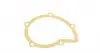 1690 Помпа воды Citroen C4-C8/Jumpy/Peugeot 2.0-2.2HDi/Fiat Scudo/Ford Focus/Mondeo/Volvo 2.0D/TDCI 01- AIRTEX підбір по vin на Brocar