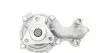 1962 Помпа воды Ford B-Max/C-Max II/Focus III/Mondeo V/Fiesta VI/Transit Courier 1.0 EcoBoost 12- AIRTEX підбір по vin на Brocar