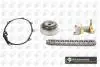 Комплект цепи ГРМ Passat/Jetta/Golf/Octavia 2.0 FSI 04- (с шестернями/+VVT) TC0110VFK