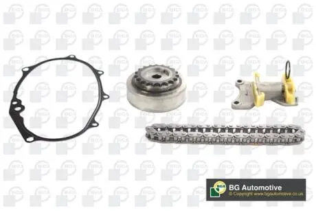 TC0110VFK Комплект ланцюга ГРМ Passat / Jetta / Golf / Octavia 2.0 FSI 04- (з шестернями/+VVT) BGA підбір по vin на Brocar